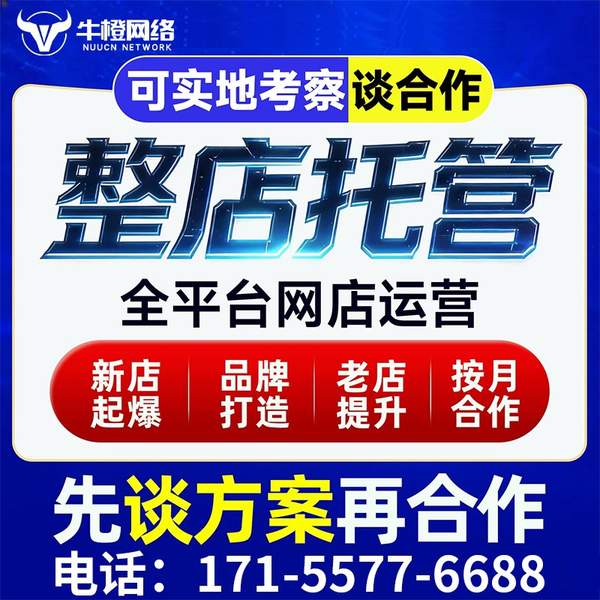 株洲电商代运营
