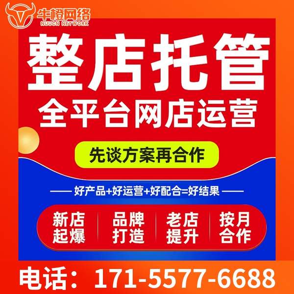 株洲电商代运营