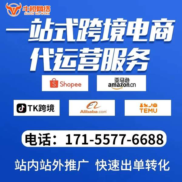 株洲电商代运营