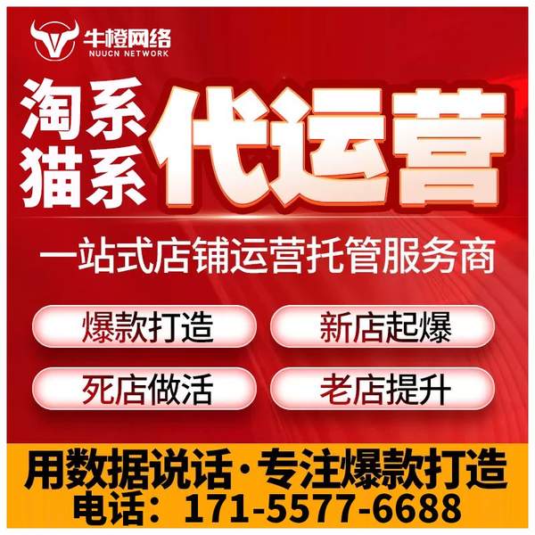 株洲电商代运营